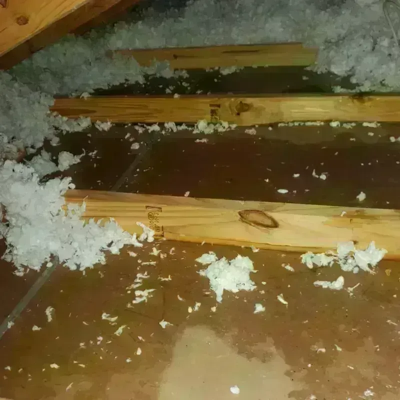 Attic Water Damage in Charter Oak, CA