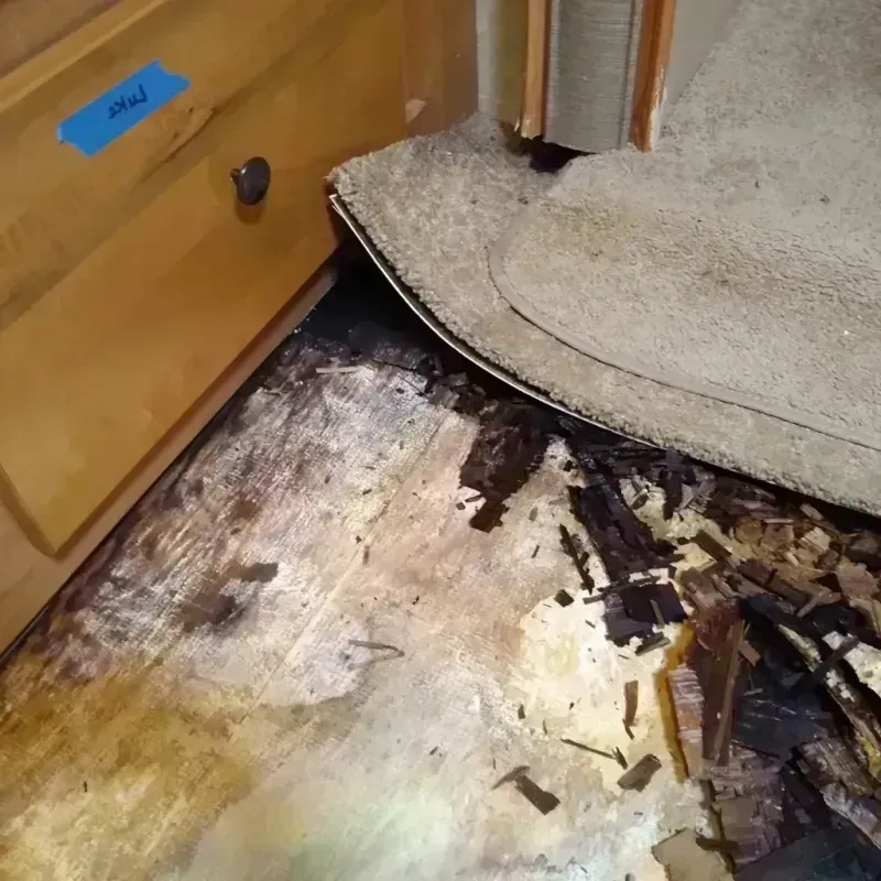 Best Wood Floor Water Damage Service in Charter Oak, CA